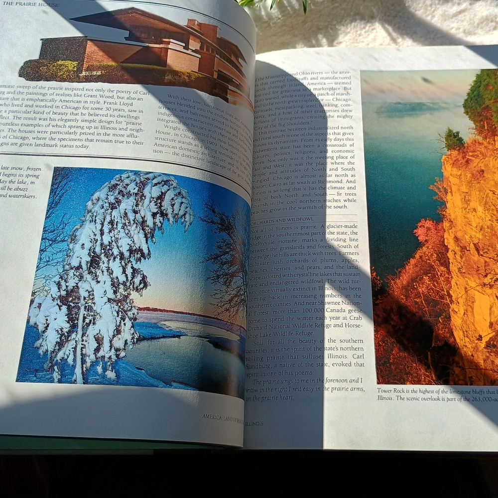 Coffee Table Copy Of America Land Of Beauty And Splendor, MCM Decor - Picture 6 of 9